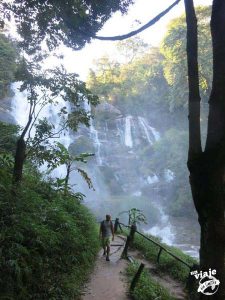 Trekking por la selva de Chiang Mai, Tailandia.