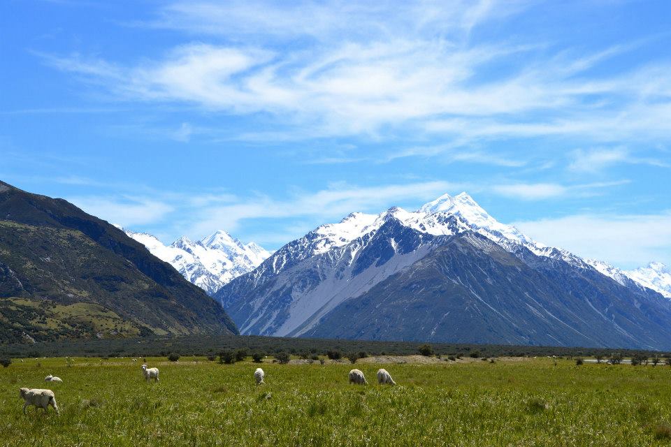 Nueva Zelanda (1)