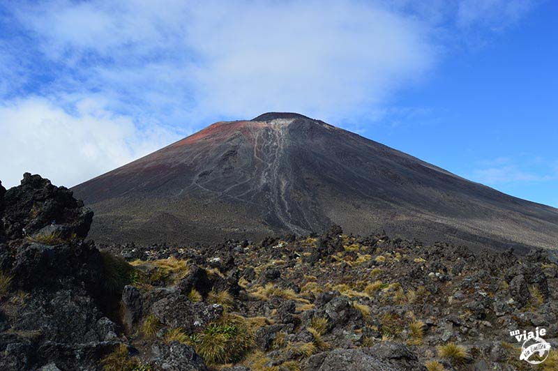 ¿Cuánto se gana en Nueva Zelanda? – Parte I