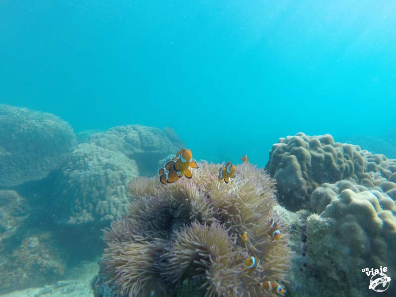 Islas Perhentian, un paraíso en Malasia