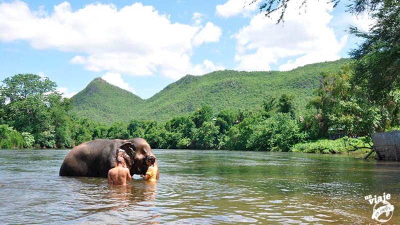 ¿Dónde ver elefantes en Tailandia?