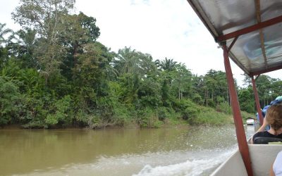 Cómo ir de Kuala Lumpur a Taman Negara