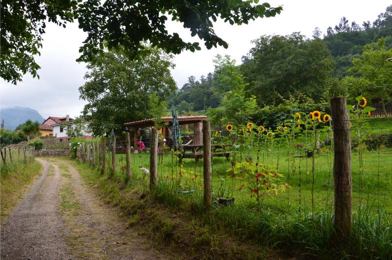 Ruta por los alrededores de Cangas de Onís