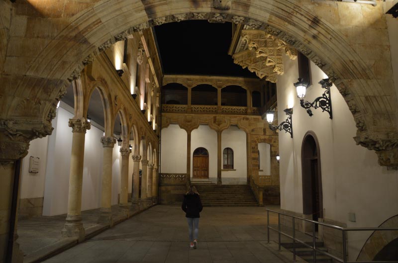 Palacio de la Salina y San Boal, que ver en Salamanca.