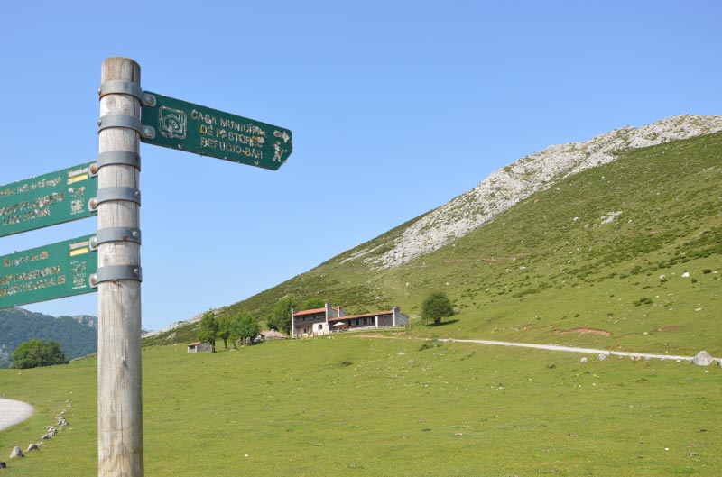 Refugio bar vega enol, comer en los lagos de covadonga.