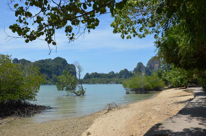 Playa de Railay East, manglares, que hacer en railay.