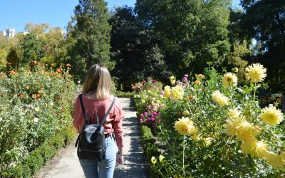 Real Jardín Botánico de Madrid
